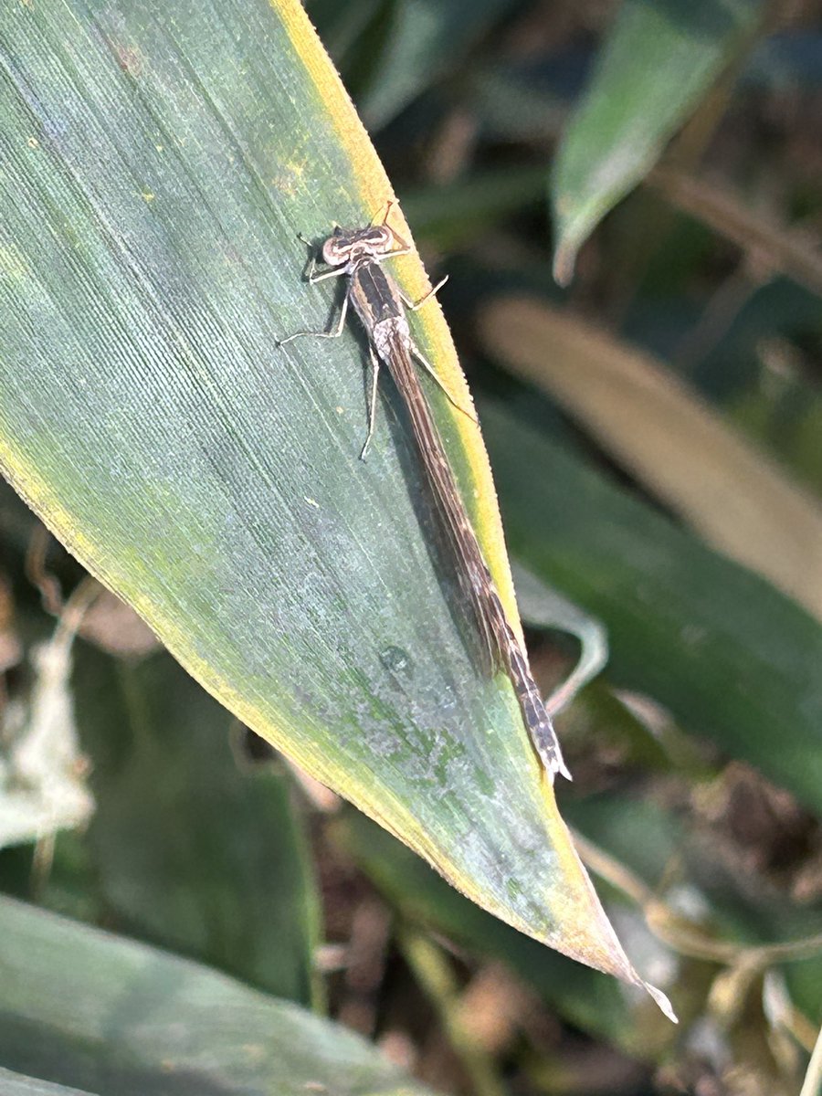 giantrogo's tweet image. 陽射しが嬉しい季節