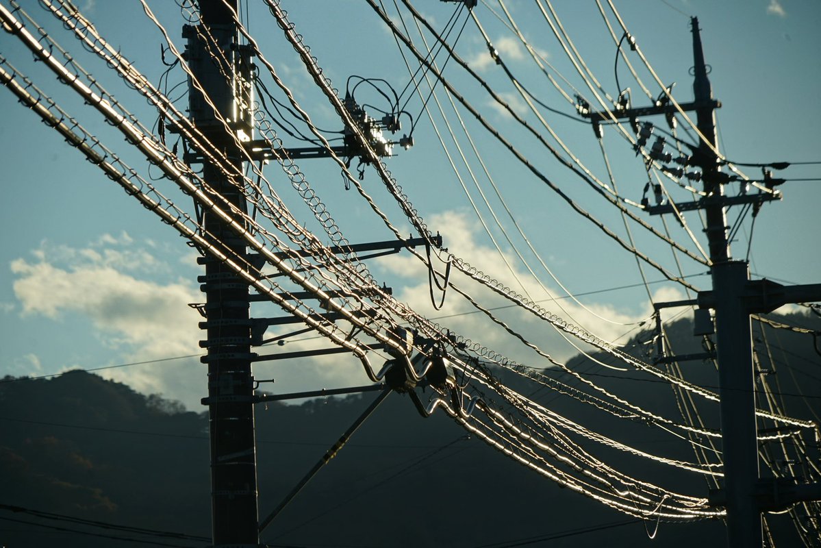 giantrogo's tweet image. 陽射しが嬉しい季節