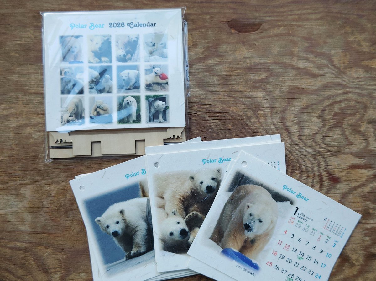 kidspromotion's tweet photo. 残念なお天気ですが、今日から ＃円山動物園 営業再開です！
正門の閉鎖が延長し、21日までは西門からの入園です。お気をつけください🫡
また、2026年公募写真カレンダーとホッキョクグマカレンダーの通販も始まりました🙌発送までにお時間がかかります。ご了承ください😣
ご利用お待ちしております！ https://t.co/VaDvPqPrJc
