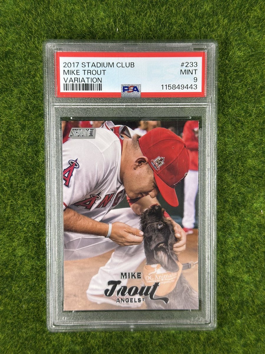 Nick_RAJ13's tweet image. #stackyoself

Woof woof! $400

Stack until 11/28