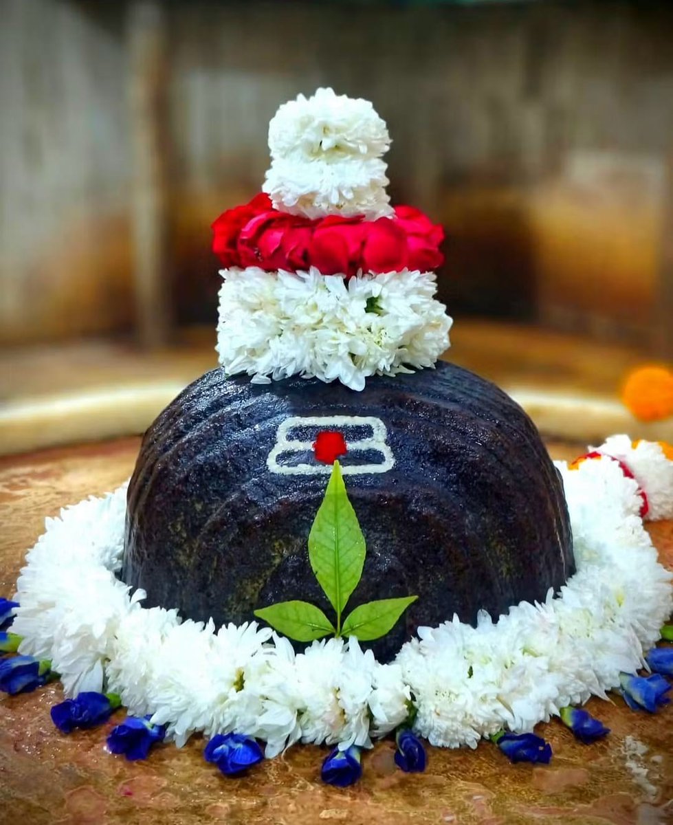 श्री क्षीरेश्वर नाथ महादेव, अयोध्याधाम के आज दिनाँक 17-11-2025 के अद्भुत एवं अलौकिक दर्शन!