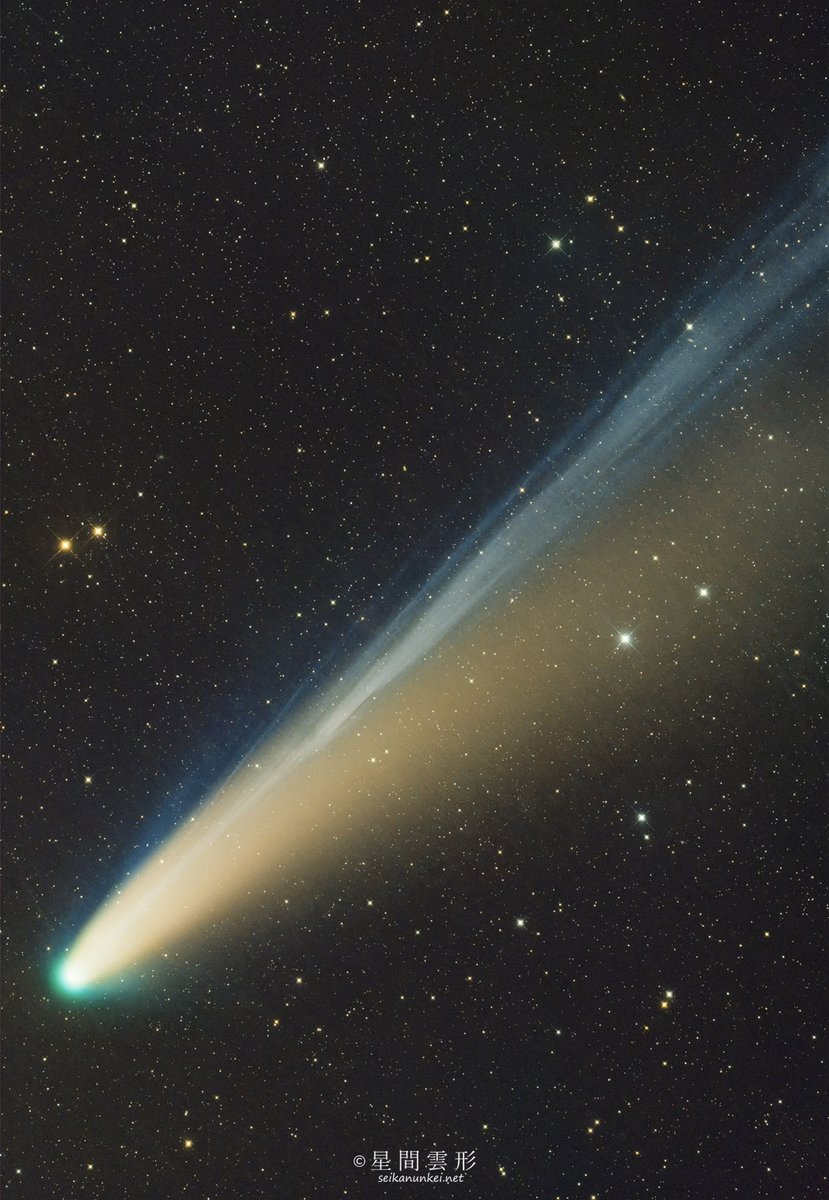 μP-NAT/ダンガンチューンズサントラ (@pppnat) / Posts / X