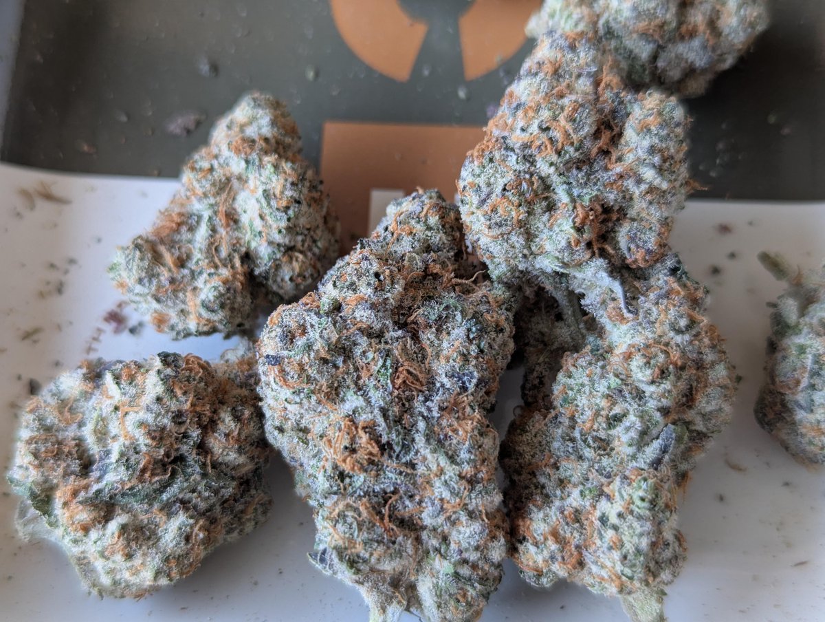 WriteWeed's tweet image. Pure Michigan Buds #WriteWeed #Mmemberville #IAmGDC #PPP