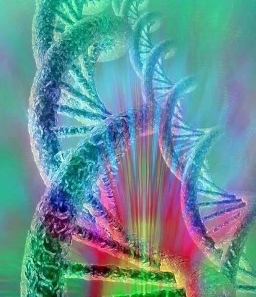 GalacticJack's tweet photo. DNA IS THE SACRED BRIDGE BETWEEN OUR SPIRITUAL ESSENCE AND OUR PHYSICAL FORM.
THIS IS A DIVINE CODE THAT KEEPS MEMORIES OF ALL OUR LIFETIME EXPERIENCES, that connects us to the wisdom of our ancestors and the true mission of our souls.
Each molecule of DNA vibrates with the unique melody of our existence, resonating with the energies of the cosmos and the thoughts we ponder.
Thoughts are merely mental processes; they are vibrations, that travel beyond the physical plane, descending into the depths of our genetic structure.
Each time we house thoughts of love, gratitude, and compassion, we release higher frequencies that can heal and restructure our DNA chains. These thoughts trigger sacred codes that awaken latent spiritual gifts and talents for generations.
When we hold thoughts of fear, hatred, or sadness, these intense energies can alter the vibration of our DNA, blocking the flow of light that needs to be circulating in our cells. It's as if the dark clouds were covering the inner sun, preventing it from shining with all its power.
Only by choosing higher thoughts and connecting with unconditional love will we dissolve these clouds, allowing divine light to illuminate every fiber of our being,
DNA IS NOT JUST A BIOLOGICAL STRUCTURE, BUT A LIVING BOOK WRITTEN WITH THE ENERGY OF THE UNIVERSE!
Each conscious thought is like a ray of light, writing a new page, rewriting past stories and creating future realities.
Meditation can raise our frequencies through pure intention and spiritual connection and awaken the ascension codes within our DNA, activating our potential as beings of light on this earthly plane.
Remember: Each thought is a silent prayer, reaching the core of your cells and connecting it to the entire universe.
Blessings of the Llama Santa
Elizabeth Masin Acuña