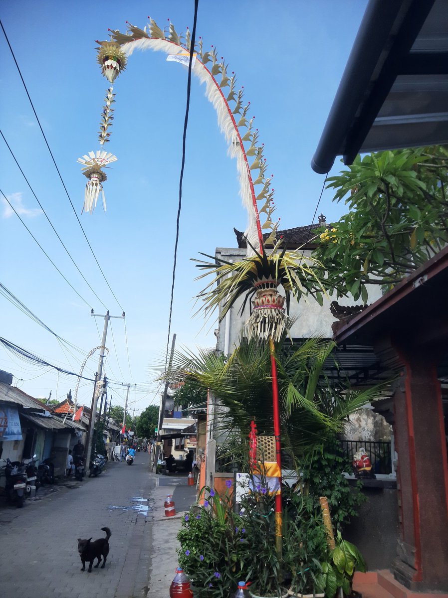 blifunday's tweet photo. Rahajeng nyanggra Rahina Galungan, dumogi rahayu 🙏 https://t.co/ujPnWfDIes