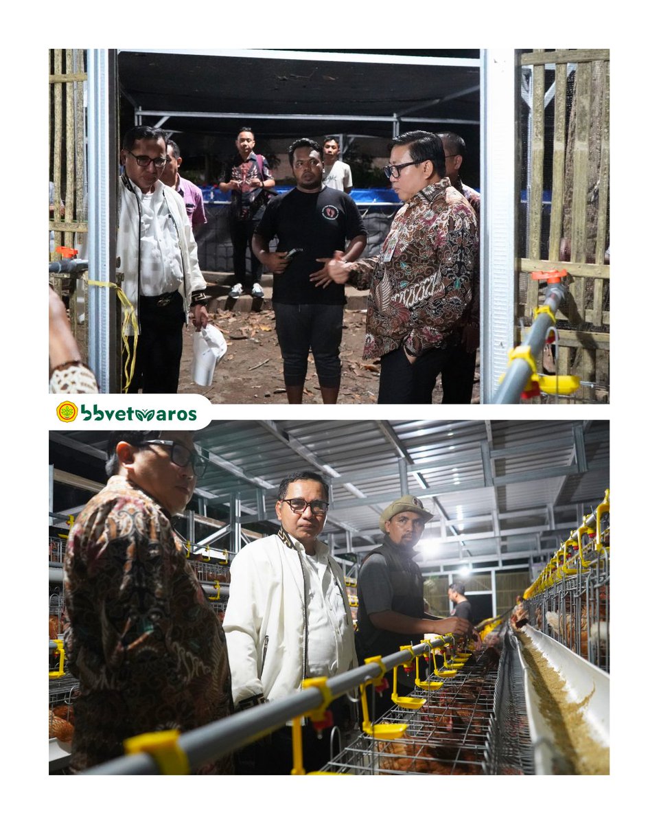 Balai Besar Veteriner Maros tweet media