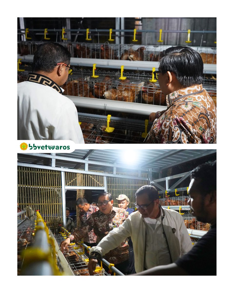 Balai Besar Veteriner Maros tweet media