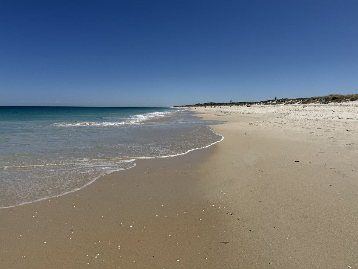 WApervert's tweet image. What a glorious morning 😍