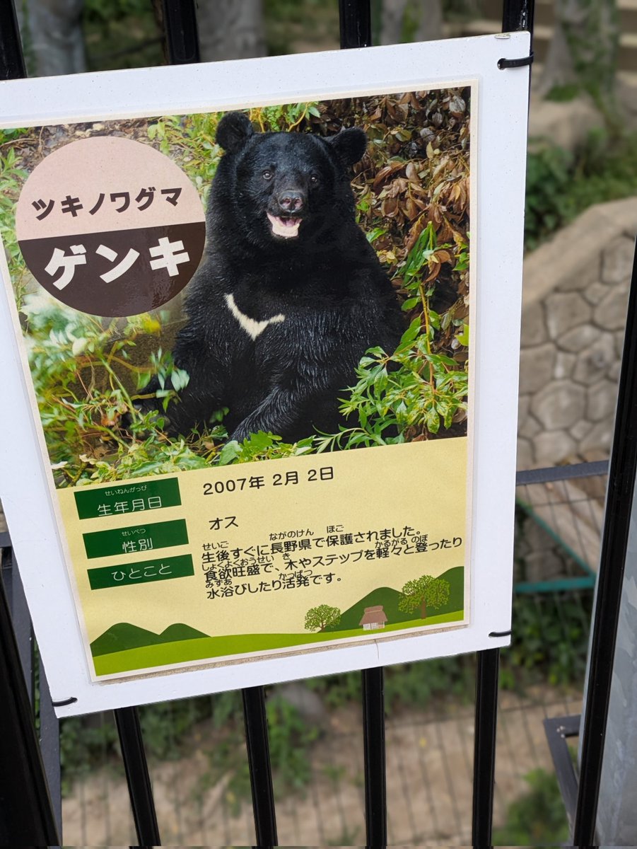 熊ページ chizu_xiang (@kobuchizu0612) / Posts / X