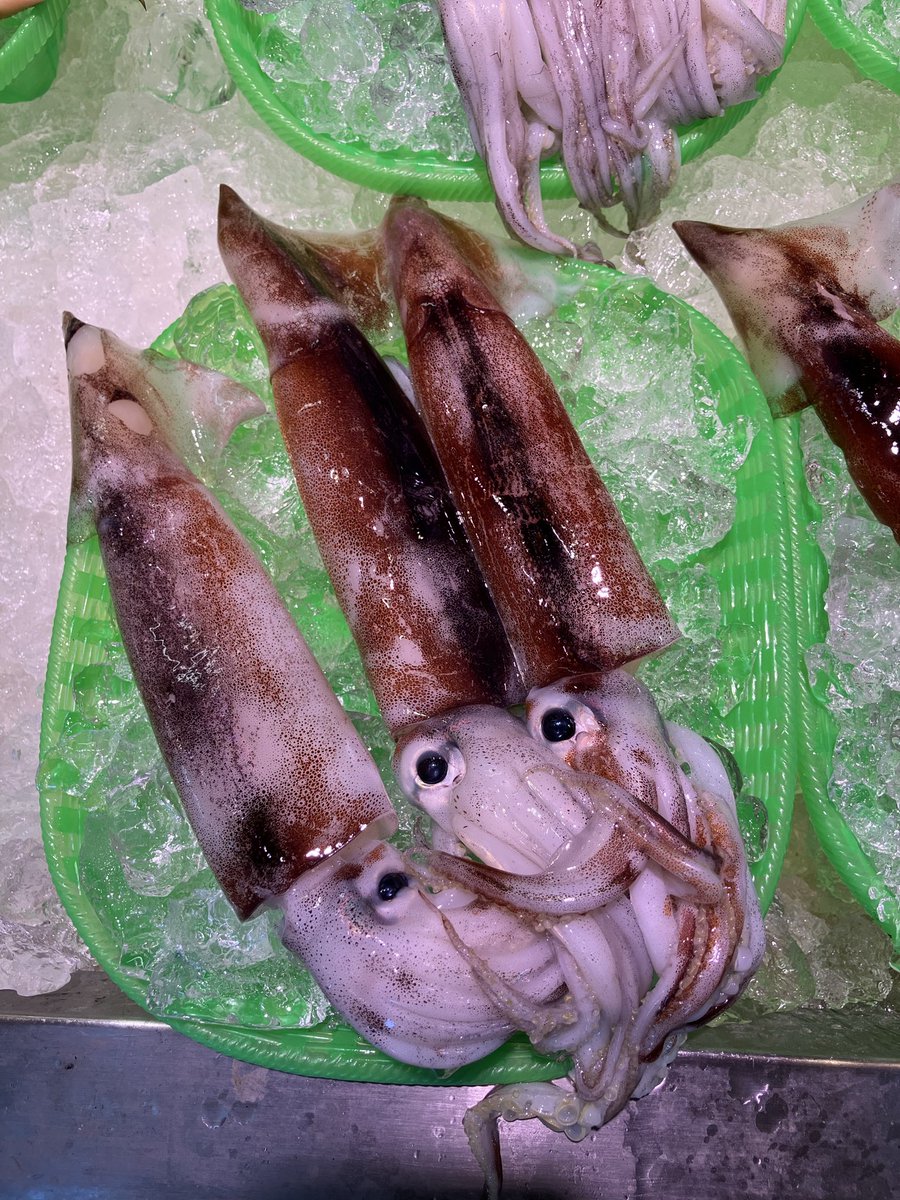 あるるんの海/海鮮レストランあるるんの海 (@arurunnoumi) / Posts / X