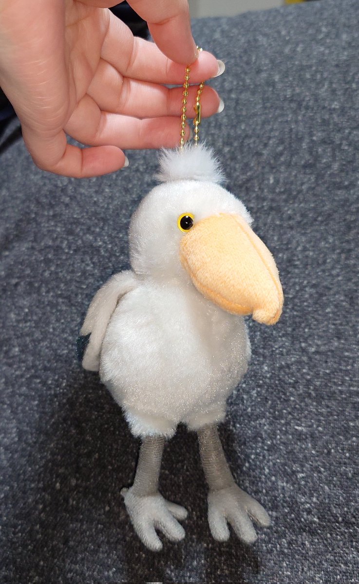 すごく轟爆カラーな皿 東武動物公園で買ったハシビロコウさんのぬい 例