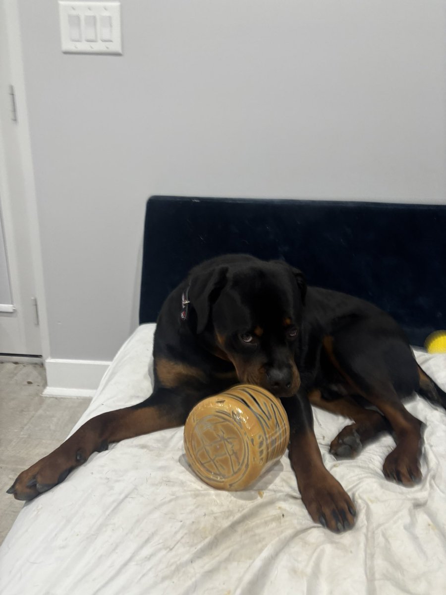 BIG AL🤞🏼 (@617aloe) on Twitter photo 