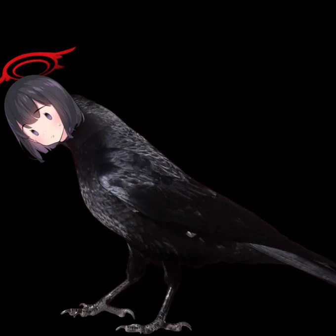 Birb