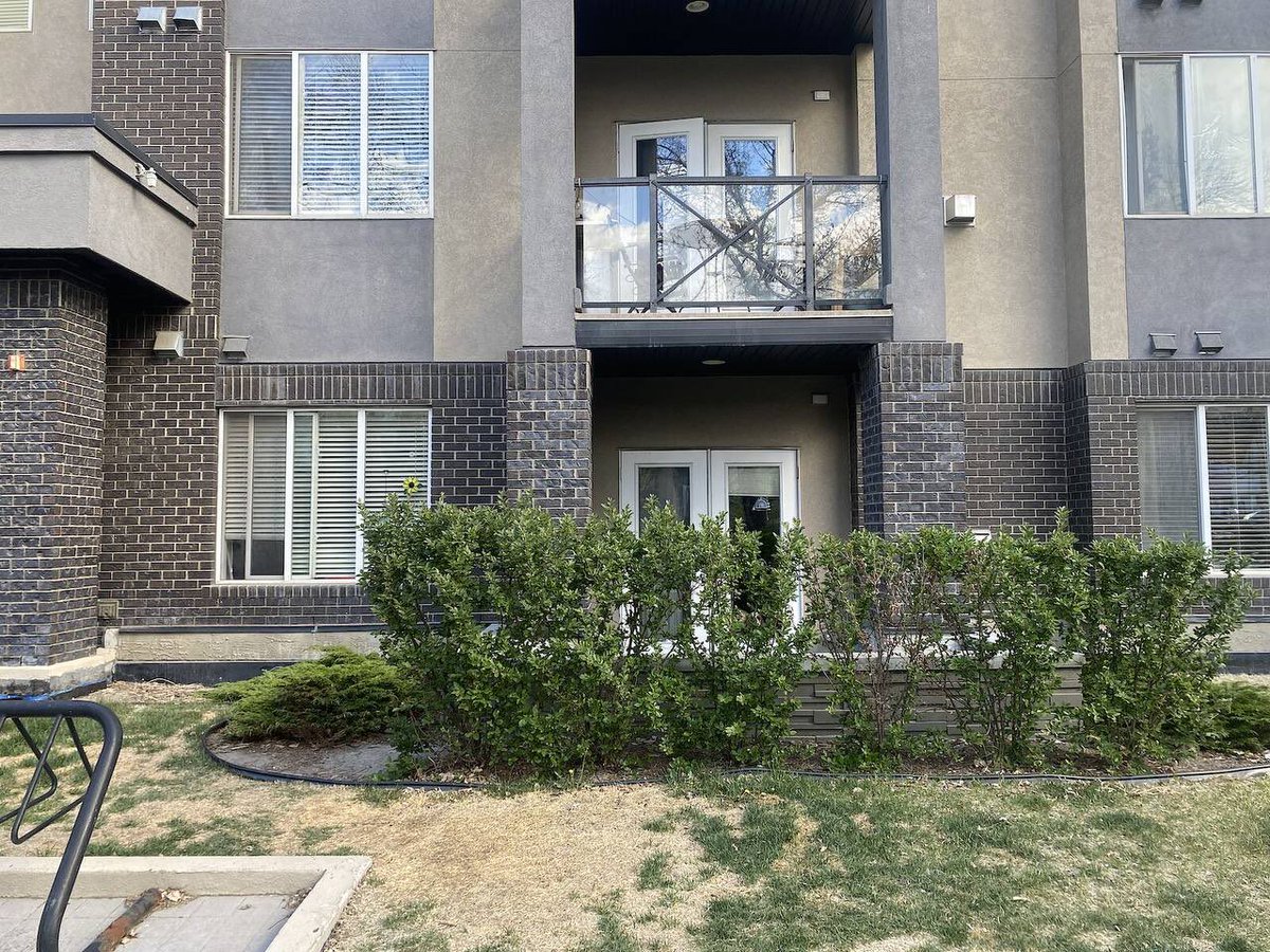 ما برای کار داریم موو میکنیم و خونمون توی #کلگری از دسامبر اماده‌س برای سابلت. اگر خودتون یا کسی رو میشناسید که علاقه‌مند هست لطفا به من خبر بدید، مرسی 🙏