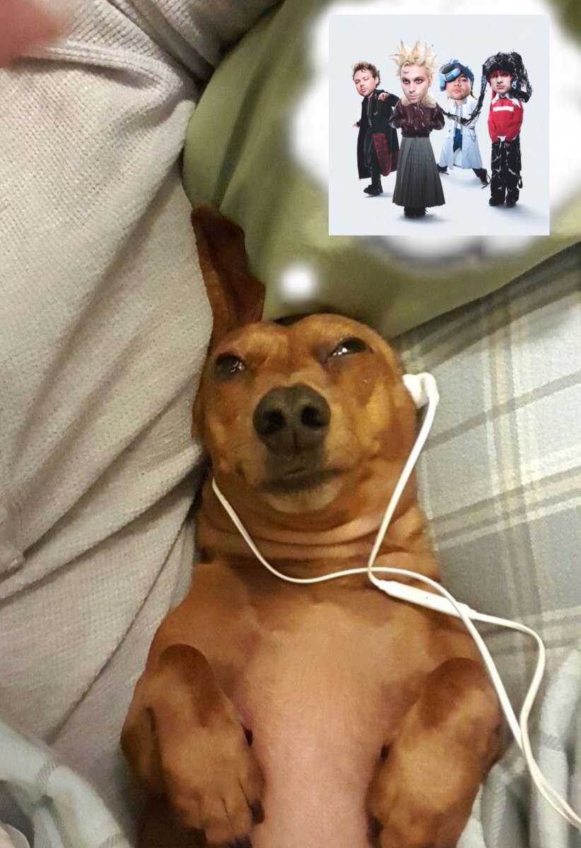 this fucking album yall i swear 5sos outdid themselves holy shit i’m shaking