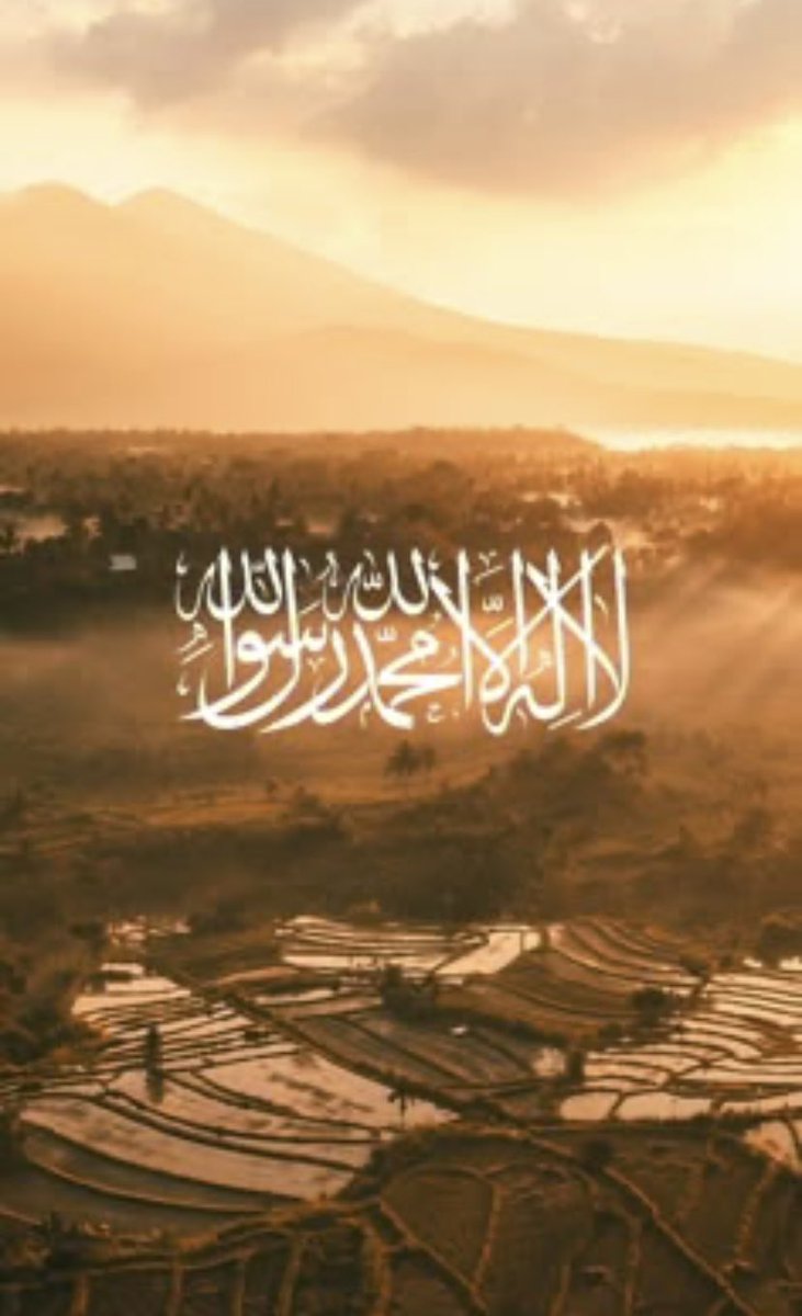 Modoumannh9's tweet image. 