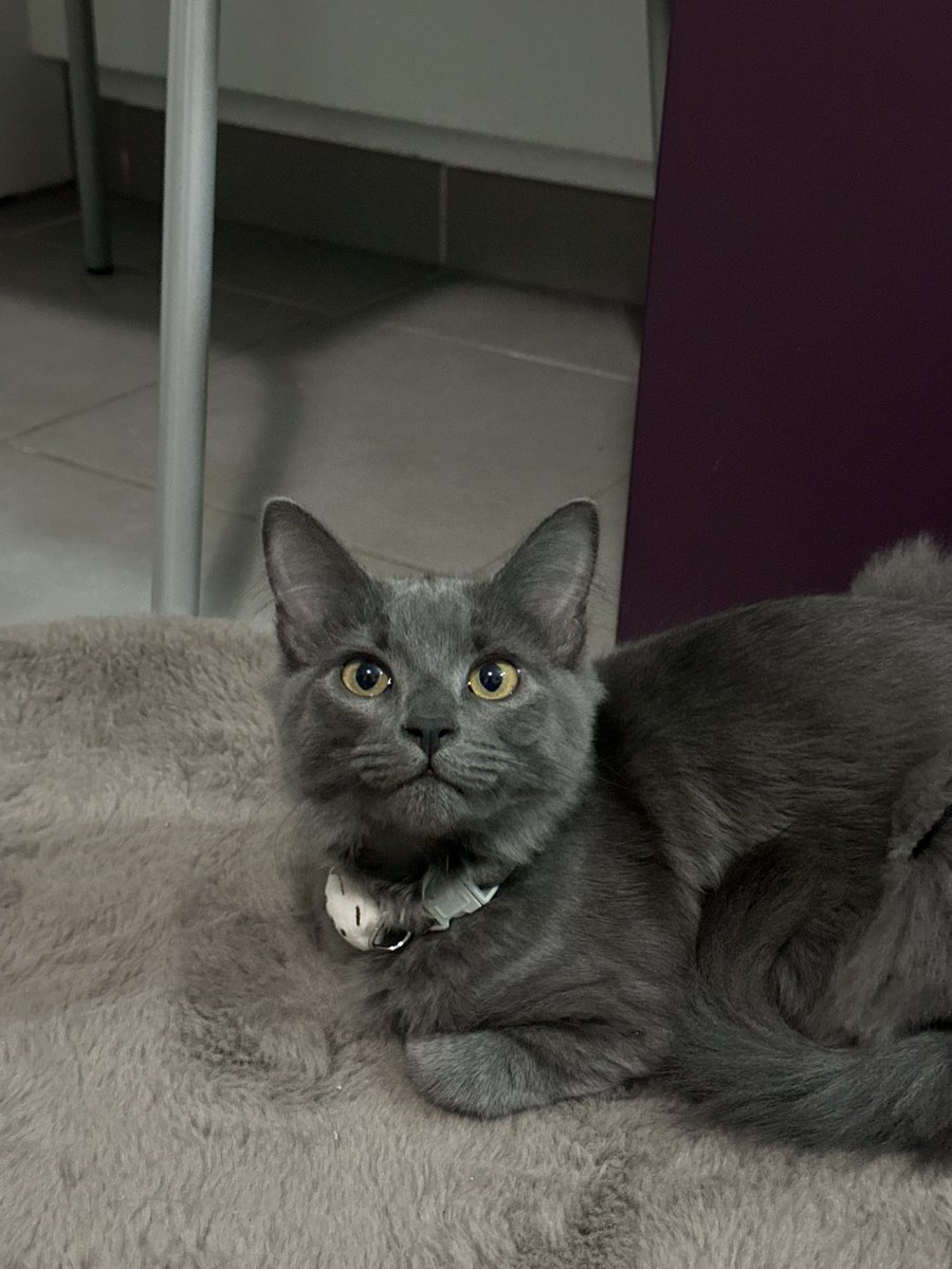 EM1N3MS's tweet image. Caleb                              Caleb