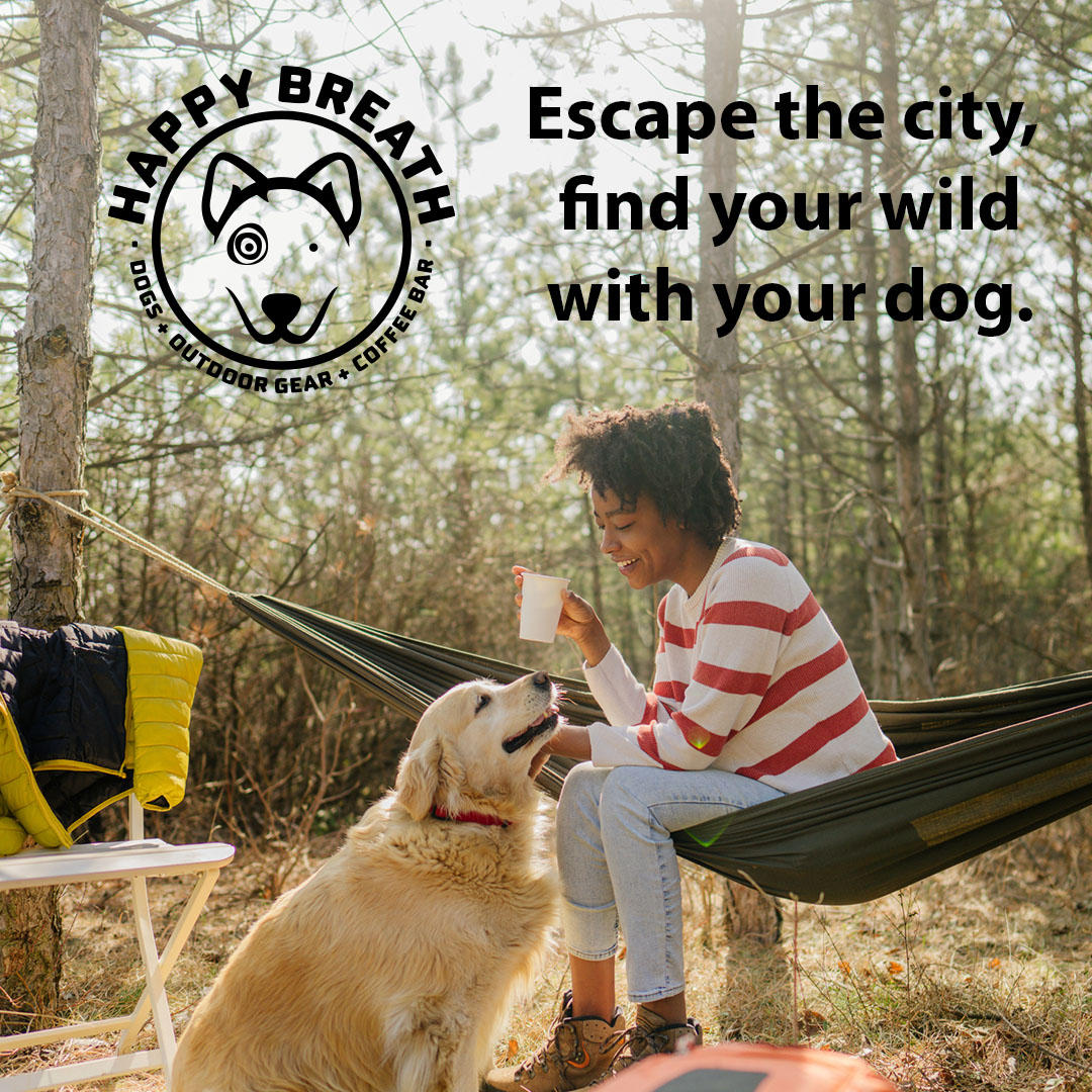 Adventure begins where the trail ends and the campfire starts. Gear up at Happy Breath! happybreath.com/shop

#dogs #camping #HappyBreath