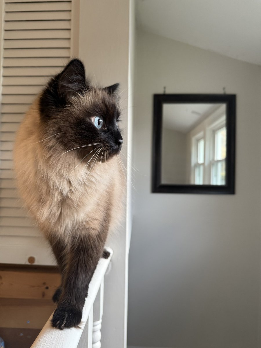 sloopnickb's tweet image. 💙 three years of simon 💙