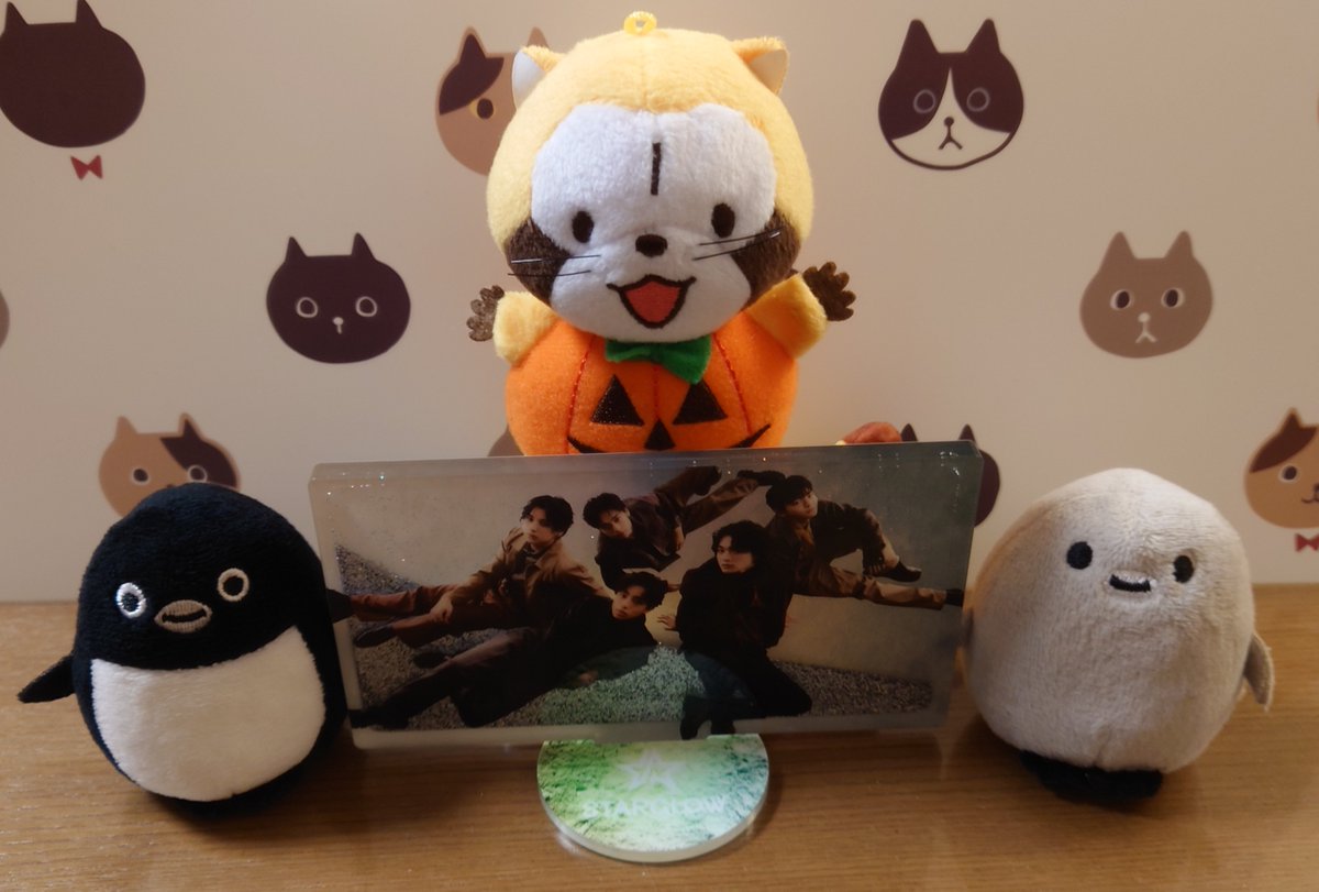 くまこ くま子 on X