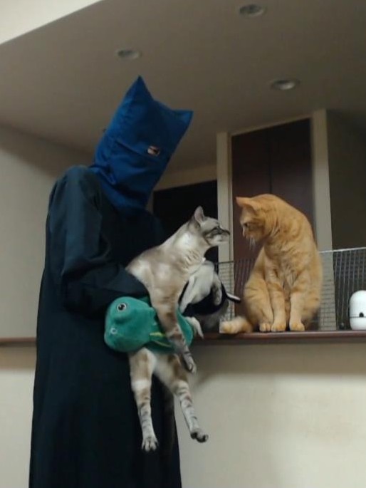 ぶーぶーこぶた (@boobookobuta107) / Posts / X