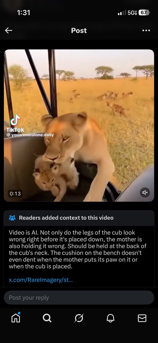 Bijou Vann tweet media