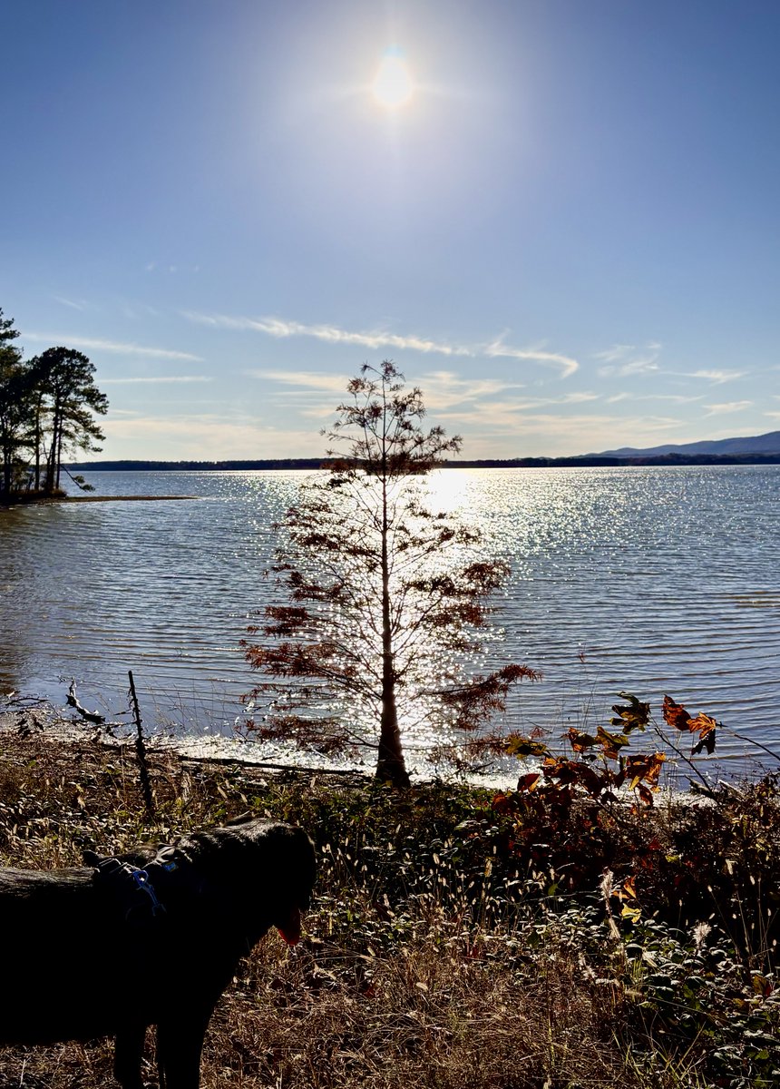 ⁦<a href="/spann/">James Spann</a>⁩ Sunday afternoon at Weiss Lake