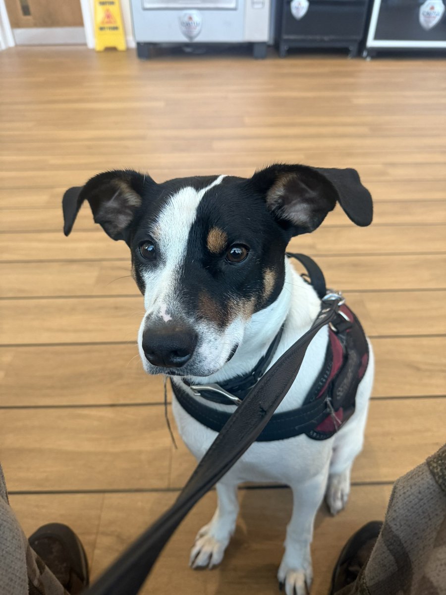 sir dakota tweet media