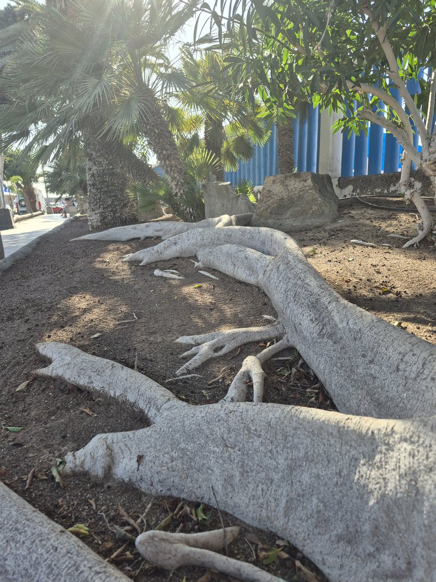 Ingrid Dønnestad tweet media