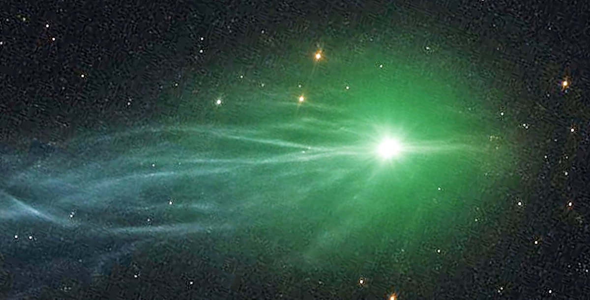 Red Collie (Dr. Horace Drew) scientist/inventor tweet media