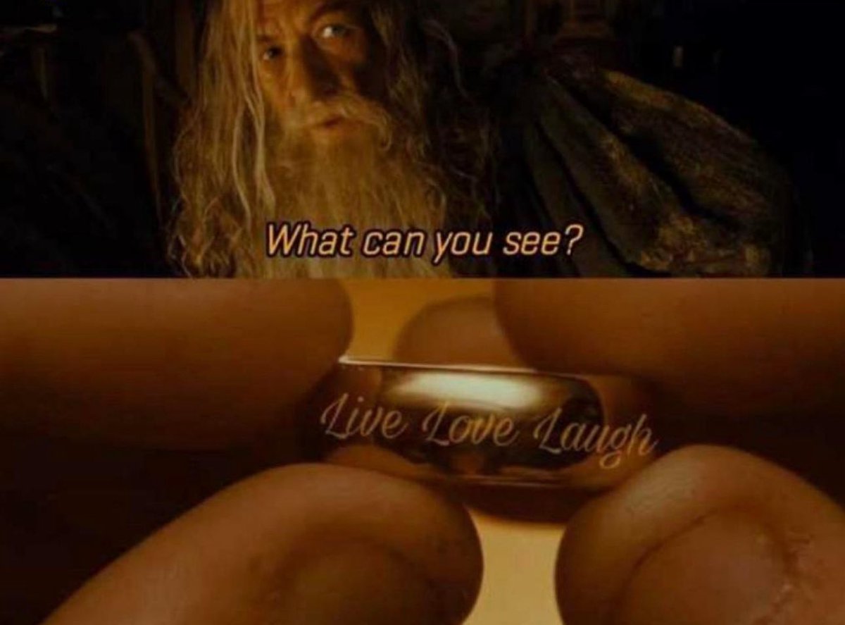 Michael Burry Archive tweet media