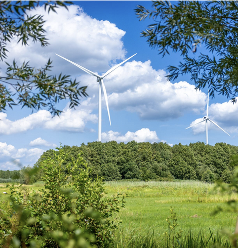 Elke windmolen wordt rechtstreeks gesubsidieerd met
100.000 den euro's en
de stroom nog eens gesponsord met "groene stroom" certificaten.
Dan nog is hun "rentabiliteit" dubieus, en hun milieu-impact erg negatief.
Dient belastinggeld hier eigenlijk wel voor?
Kunnen we ons dat