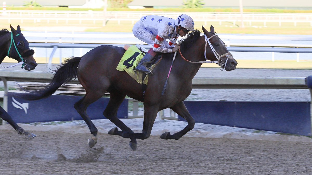 Steal Sunshine takes the Finallymadeit Handicap, ridden by <a href="/zayas_edgardo/">Edgardo Zayas</a>, trained by Bobby Dibona, and owned by Michael lavarone, Jules lavarone et al. #GulfstreamPark #SunshineMeet