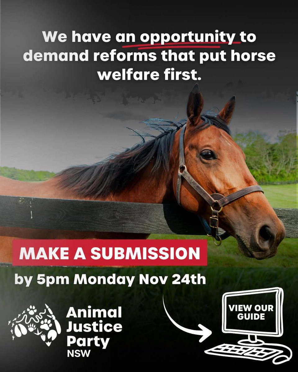 animaljusticeAU's tweet image. NSW HORSE RACING UNDER REVIEW 
MAKE A SUBMISSION ✍️

For the first time in over a decade, the NSW Thoroughbred Racing Act is under review. 🐎 

This review will shape how horses are treated for years to come.

Racing NSW both promotes racing and regulates welfare— leaving horses…