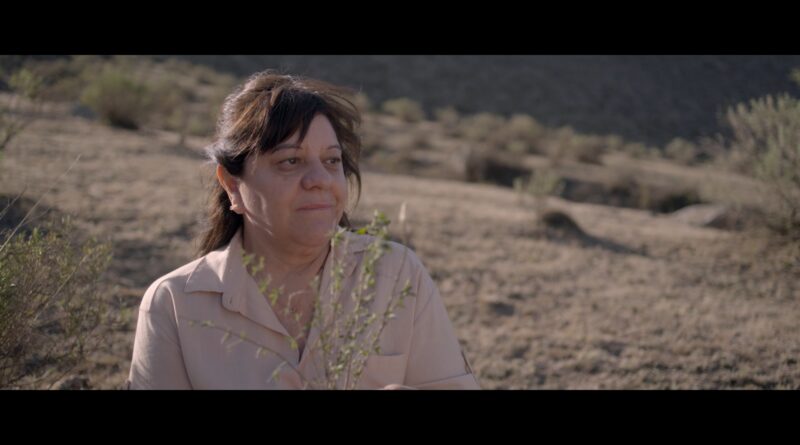 En la Competencia Internacional del @mardelplataff se pudo ver #MuñaMuña, una peli tucumana que habla sobre la soledad, las segundas oportunidades y el amor. Un film muy local que se beneficia de la actuación de #LilianaJuárez y la ambientación del lugar: cinefiloserial.com.ar/40-mdq-film-fe…