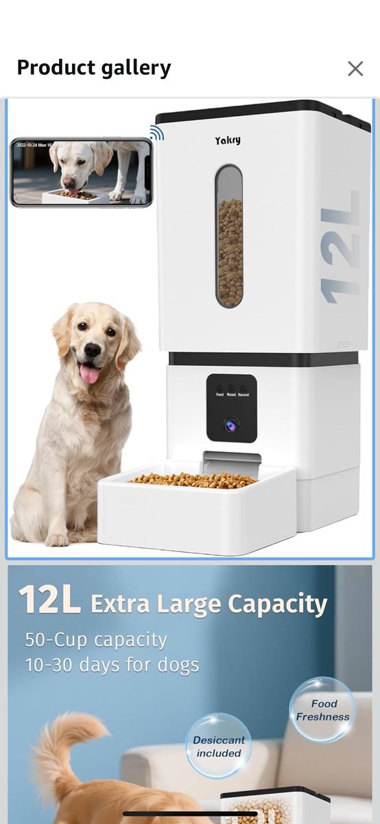 sweeetcyanide's tweet image. When you need to leave your dog for a couple months