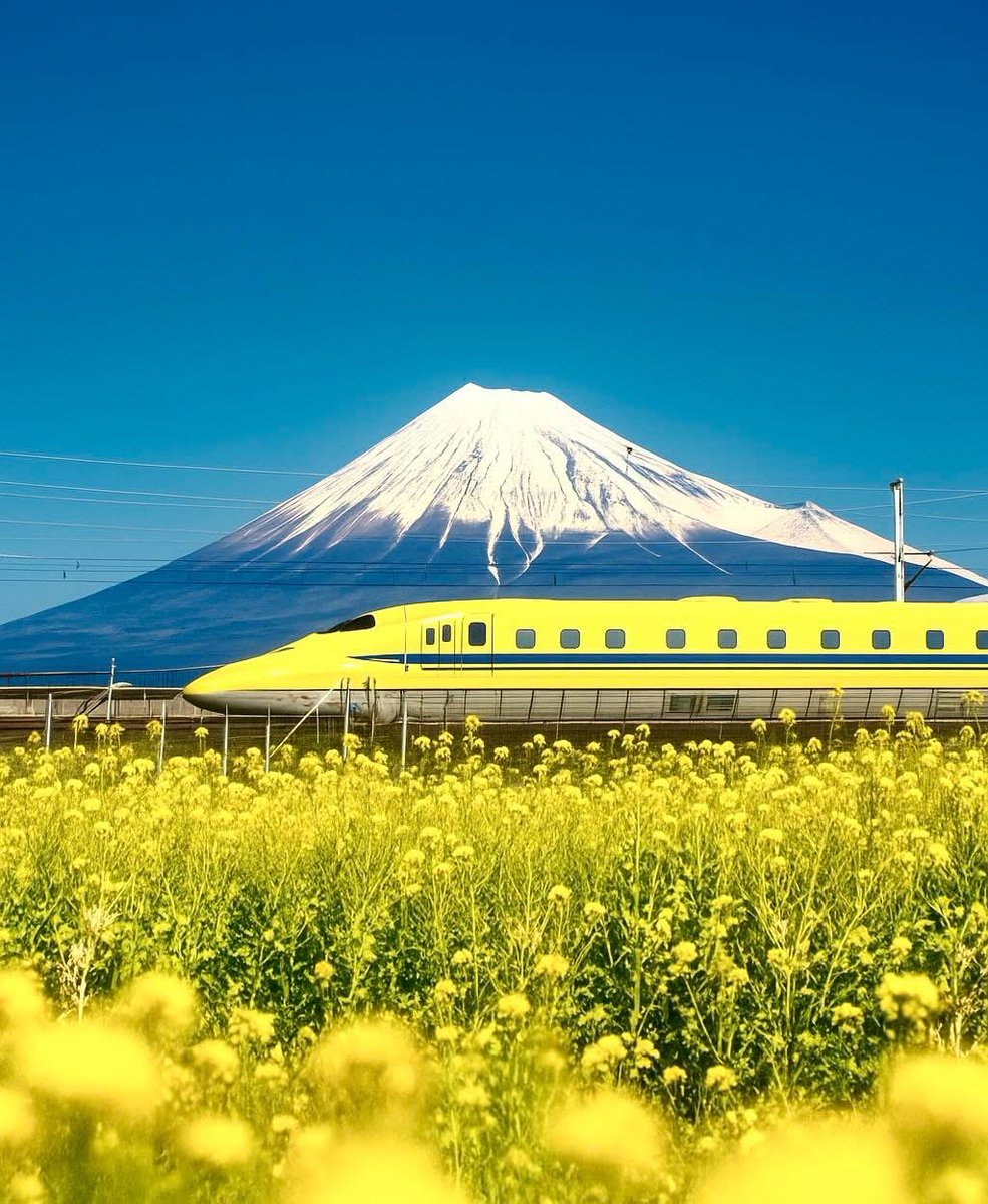 皆さん、おはようございます😺
今週も✨よろしくお願いします
寒い朝でした‼️
良い一日をお過ごし下さい☕️