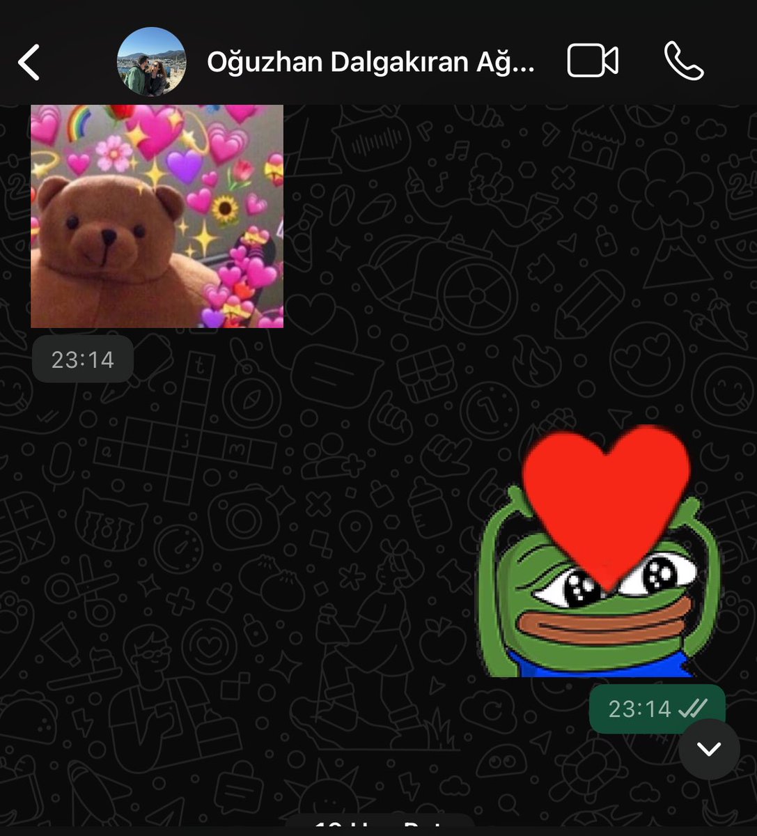 Koskoca 90 gün  ve aklıma gelmediğin tek bir gün bile yok. Videolarımızı açıp izliyorum. Sanki sadece yayınlara ara vermişsin de geri başlayacaksın gibi. Abimin eksikliğini hiçbir zaman dolduramıcam. Huzur içinde uyu abim yattığın yer incitmesin.
