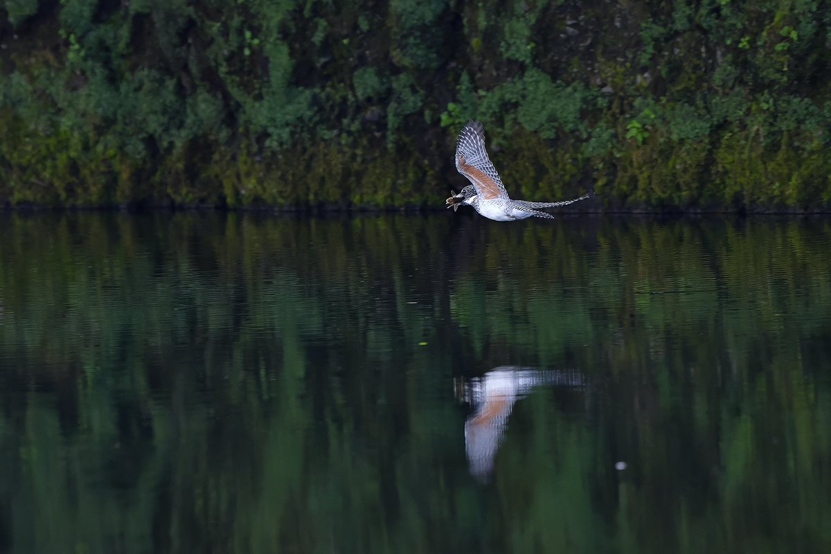 Zっとん (@kazu1130945) / Posts / X