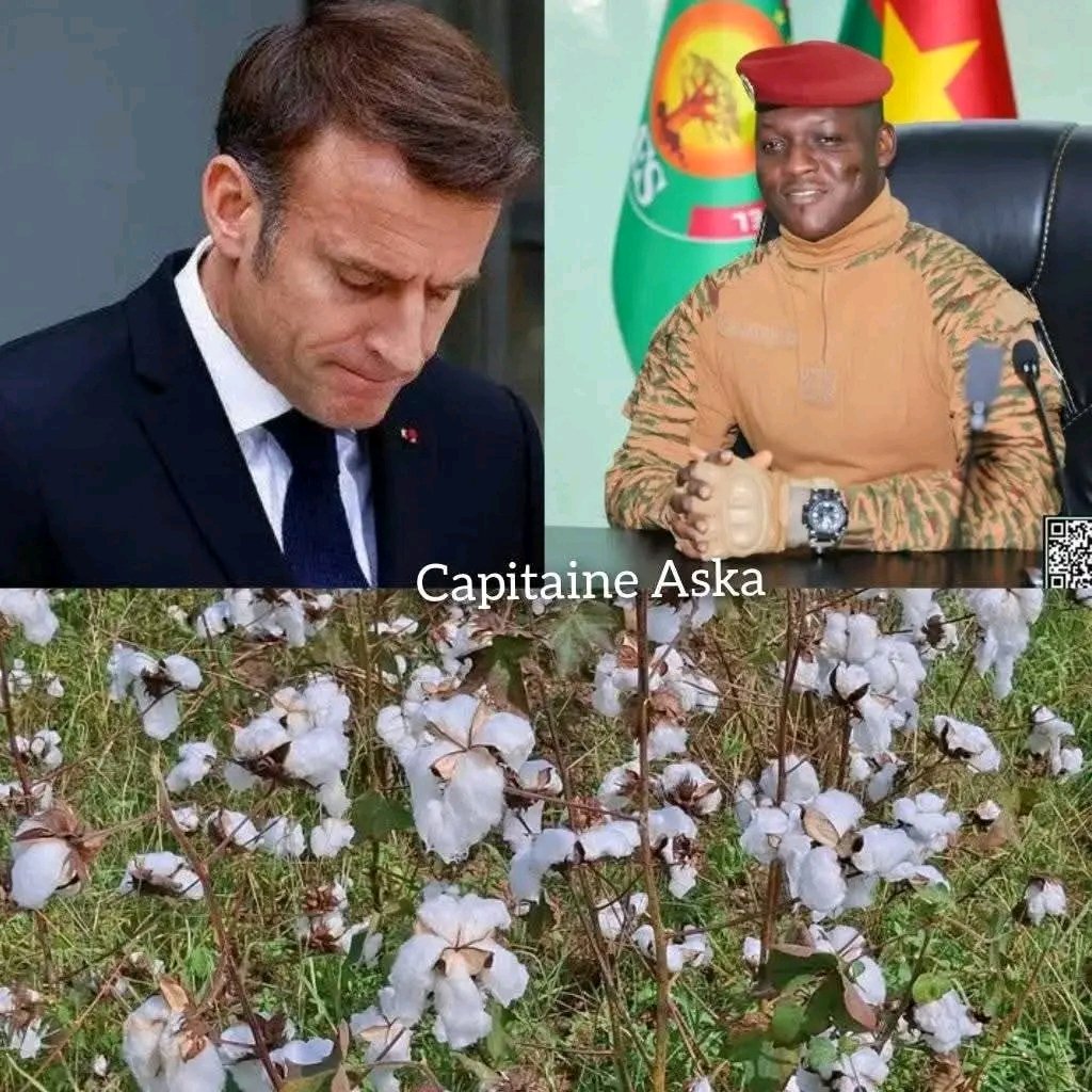 _Adama_2002's tweet photo. Le nombre d'usines fermées en France a augmenté ces deux dernières années. Les deux principaux producteurs de coton d'Afrique de l'Ouest, le Mali et le Burkina Faso,ont décidé d'arrêter d'exporter leur coton brut.
Bientôt, on exportera des vêtements de seconde main en France!🤣🤣 https://t.co/rGTD5W0l0U