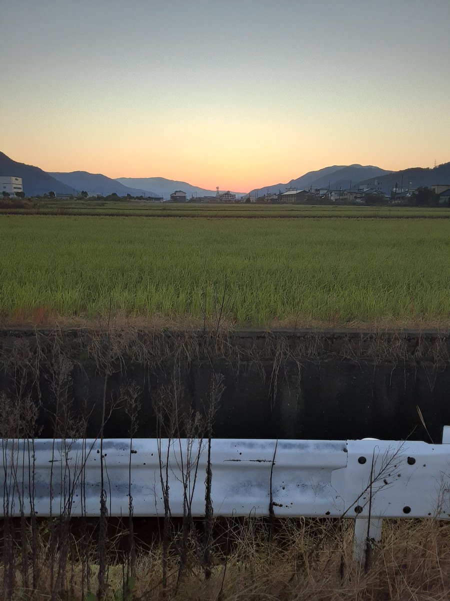 speck_ot's tweet photo. 朝散歩ではなく、朝ランしました。2kmを20分、爽やかな汗が流れました。
#朝散歩 #朝ラン #ランニング #ジョギング #朝活 https://t.co/M1YWKfGwvt