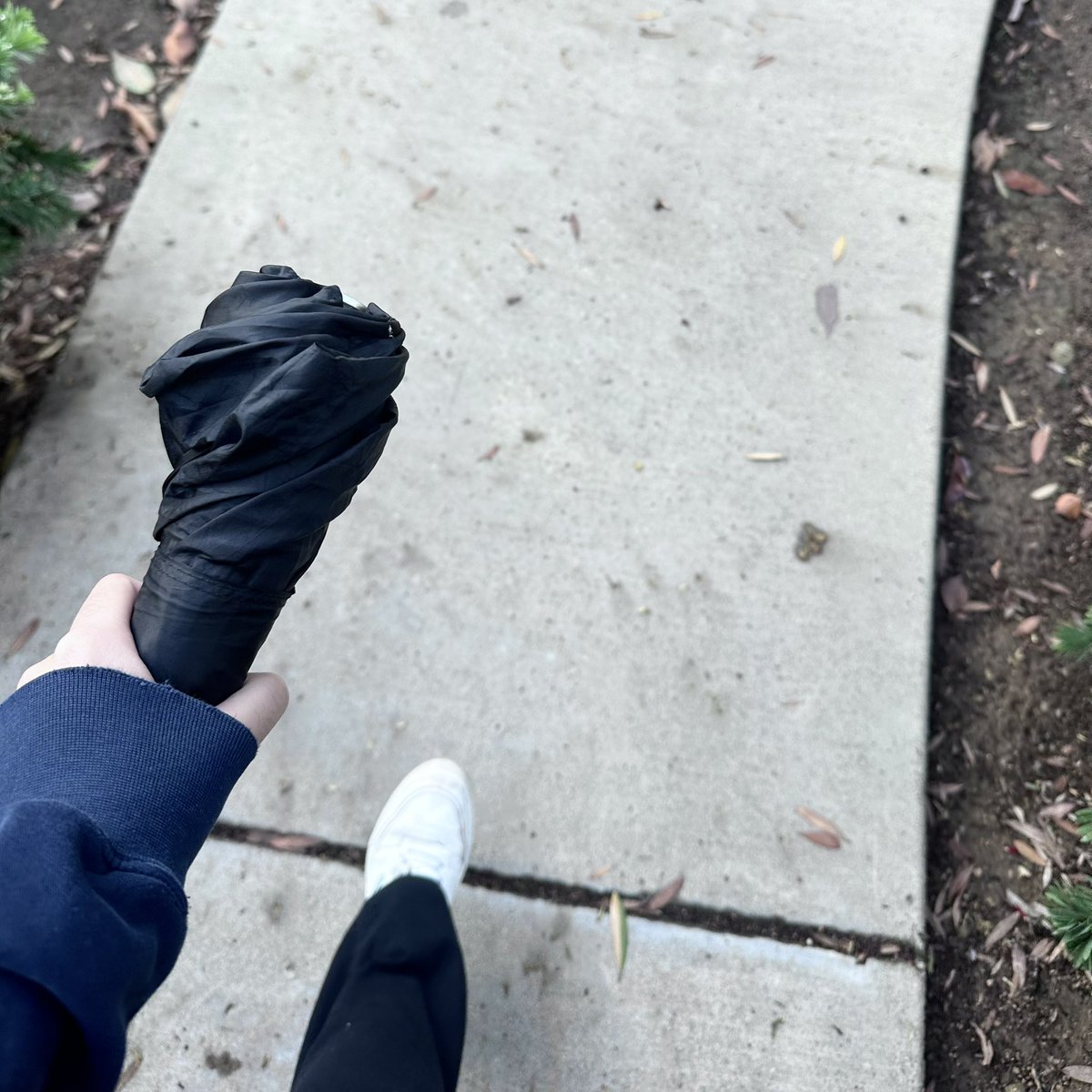 hamsterpupu's tweet image. #hamlife