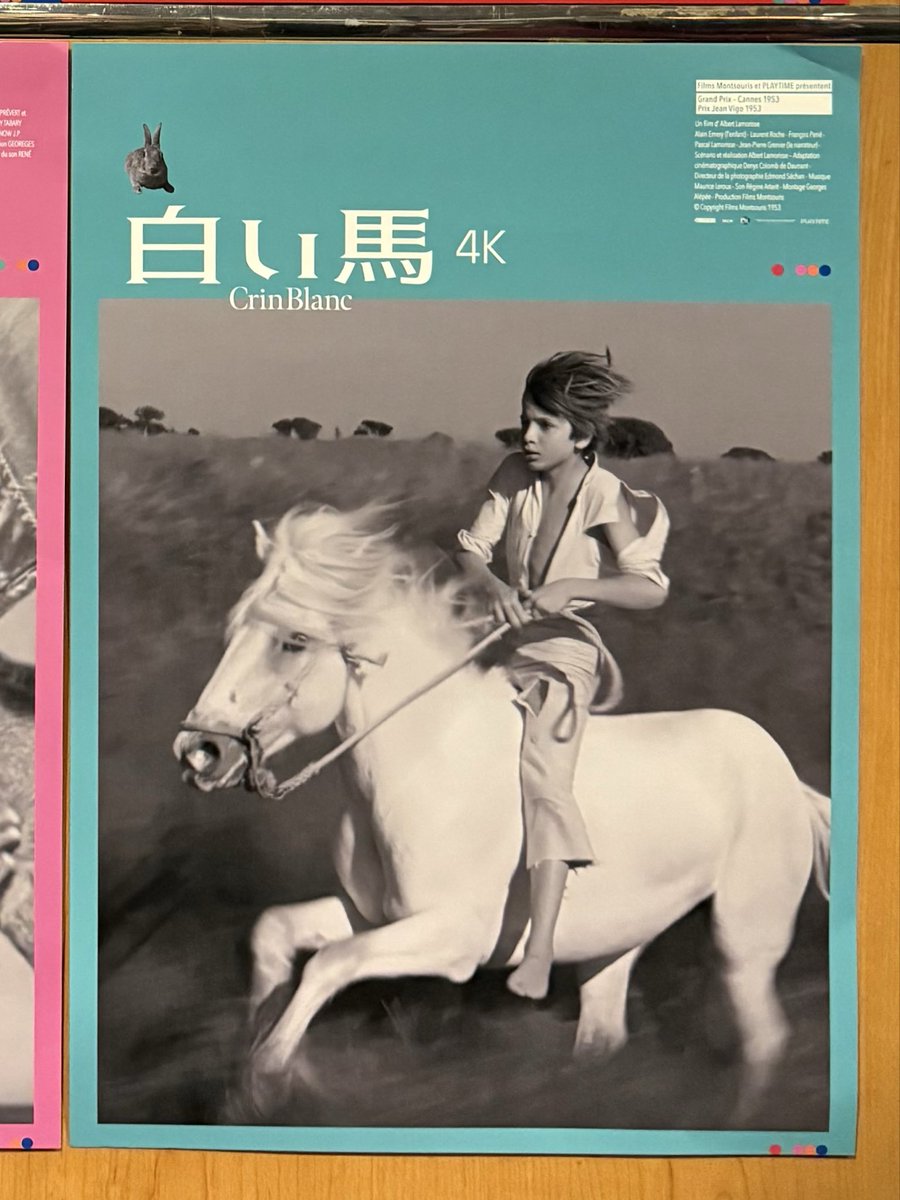 aboutthirdrow's tweet image. アルベール・ラモリス『白い馬』。広大な平原地を舞台に、野生の馬と少年との絆の結びつきが神話的な趣で描かれる。馬の疾走感とダイナミズムが見事に捉えられており、どこか西部劇のようなアクション映画とも呼びたくなる。馬と少年と兎を、編集に頼らず一つの画面に収めた兎狩りの場面が素晴らしい。