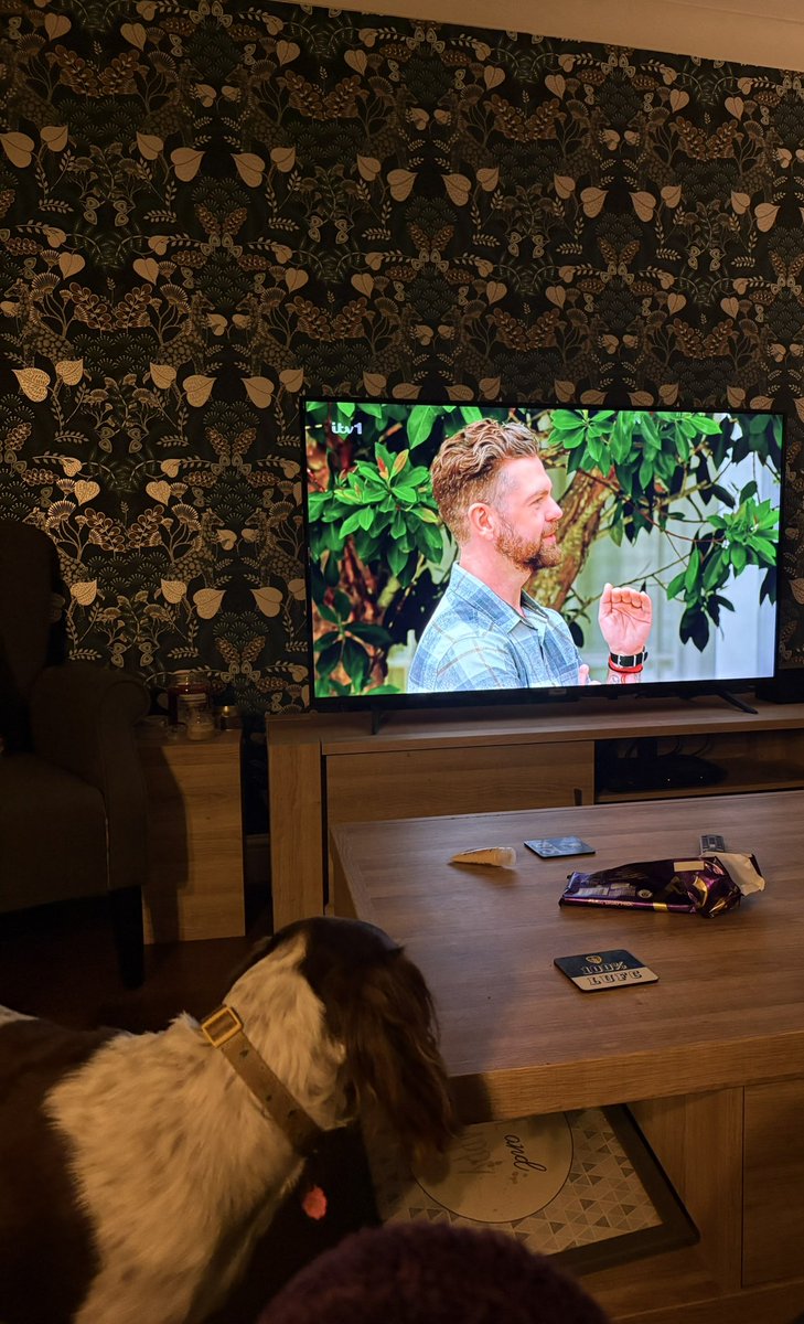 When the dog thinks her dad is in <a href="/imacelebrity/">I'm A Celebrity... Get Me Out Of Here!</a> <a href="/MikeHawker75/">Mike</a>