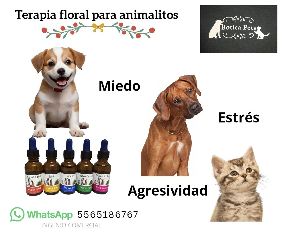 BoticaPets's tweet image. 