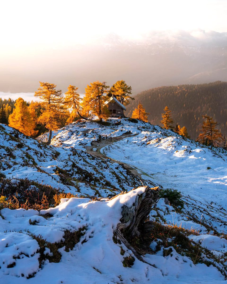 ExploringSlo's tweet image. Planina Krstenica (1,670 m) above Lake Bohinj is a classic Alpine pasture where some of Bohinj’s 1,000 cows graze each summer. Now they’ve headed to the valley for winter, leaving the beautiful meadows to a few wandering hikers.
📸 @simonzupan