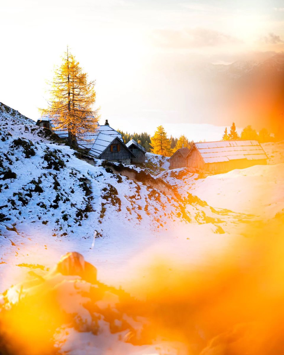ExploringSlo's tweet image. Planina Krstenica (1,670 m) above Lake Bohinj is a classic Alpine pasture where some of Bohinj’s 1,000 cows graze each summer. Now they’ve headed to the valley for winter, leaving the beautiful meadows to a few wandering hikers.
📸 @simonzupan