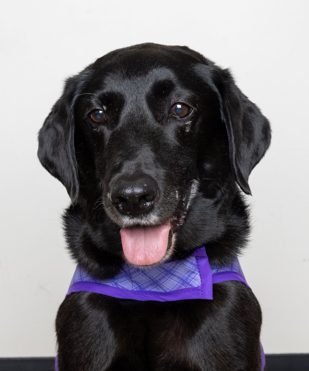 Denver Int'l Airport tweet media