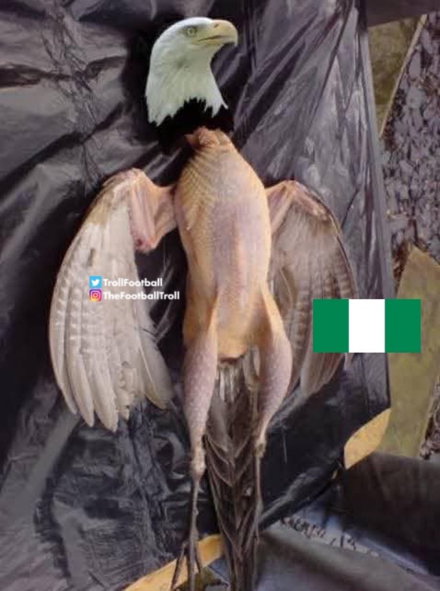 am_pending's tweet photo. @FabrizioRomano ‘super eagles’ no cedis coming 😭😭😭 https://t.co/LomFvoKypL