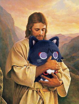 DailyWanderers's tweet image. oh kitty